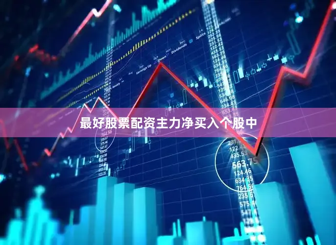 最好股票配资　　主力净买入个股中