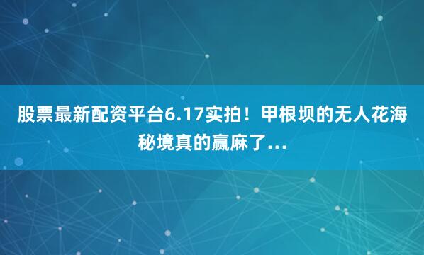 股票最新配资平台6.17实拍！甲根坝的无人花海秘境真的赢麻了…