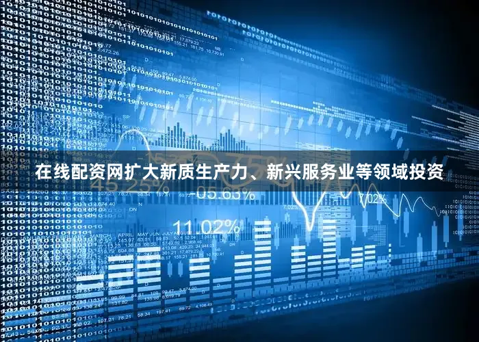 在线配资网扩大新质生产力、新兴服务业等领域投资