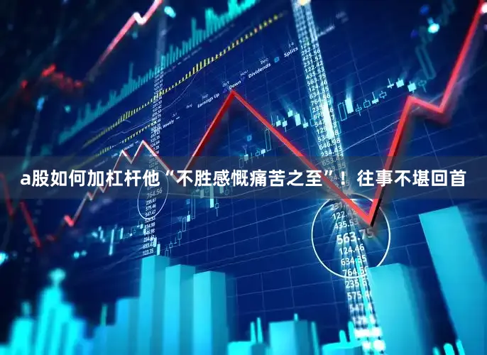 a股如何加杠杆他“不胜感慨痛苦之至”！往事不堪回首