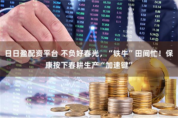 日日盈配资平台 不负好春光，“铁牛”田间忙！保康按下春耕生产“加速键”